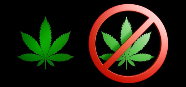 Oklahoma Marijuana.jpg